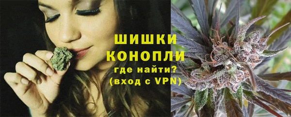 хмурый Аркадак